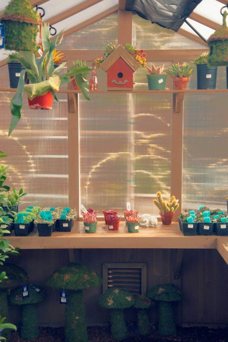 季節の植栽・花壇設計